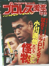 プロレス激本 No.10