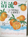 清流　2004年8月