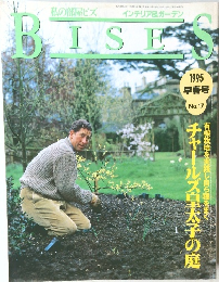 私の部屋ビズ　1995年早春号　No.17