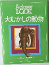 大むかしの動物  ジャポニカ少年博物館 11