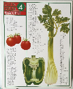 COOK 料理全集 4 野菜の料理