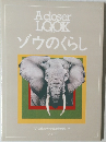 A　closer LOOK  ゾウのくらし  ジャポニカ少年博物館 7