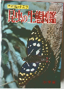 学習図鑑シリーズ 28  昆虫の生態図鑑