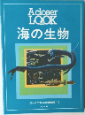 A closer LOOK at 海の生物