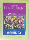 DENDROBIUM 1982-1983