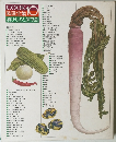 COOK10 料理全集 漬けものと保存食