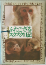 ふたござるスクスク日記