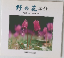 野の花 星野　