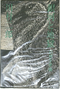 銀河と地獄　 幻想文学論