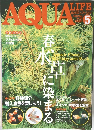 AQUA LIFE　2003　5
