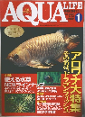 AQUA LIFE　2000　1
