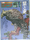 鷲と鷹  太陽  姉妹誌・自然シリーズ 野生のこころⅡ 