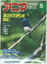 アニマ No.98 1981年5月号　鳥のさえずりを読む 