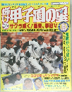 輝け甲子園の星　1996年春号