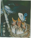 日本の野鳥　水野伸彦写真集