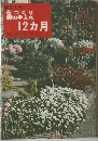 園芸入門花づくり庭の手入れ12カ月村井千里