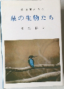 柿田川の自然　泉の生物たち