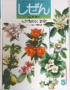 キンダーブック しぜん 5 くだもののはな