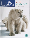 しぜん　ほっきょくぐま　2