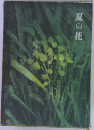 夏の花