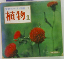 学習コンパクト図鑑2　植物1