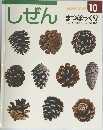 しぜん　10　まつぼっくり