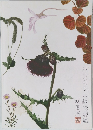 谷川岳高山植物図鑑　原画展