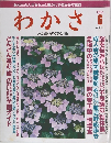 わかさ 1996年6月号