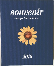 souvenir mariya takeuchi live 2014