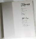生誕100年記念  小絲源太郎展  油彩で描く日本の「いき」