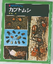 科学のアルバム  カブトムシ