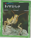 科学のアルバム　トノサマバッタ