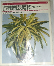 古典園芸植物　種類と作り方