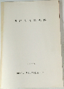 四谷内谷津遺跡　1993年号