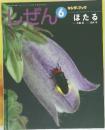 しぜん 6　ほたる