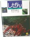 しぜんキンダーブック　6月号　ざりがに