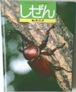 しぜん　キンダーブック　7　かぶとむし