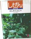しぜん キンダーブック むしのにんじゃ 3
