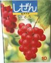 しぜん　キンダーブック ぶどう 10
