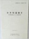 小井川遺跡　IV  新山梨環状道路建設工事に伴う発掘調査報告書　2008年3月号