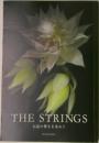 THE STRINGS　伝説の響きを求めて