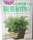 失敗しない観葉植物入門　さわやかグリーンカタログと楽しみ方、育て方
