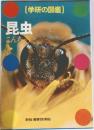 昆虫　こんな