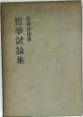 哲學試論集