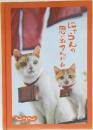 にゃらんの思い出アルバム