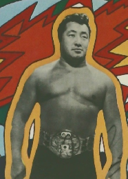 ファンズ・ブック　プロレス百科
