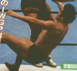 ゴング 1983年（昭和58年）７月号増刊　IWGP　プロレス写真画報