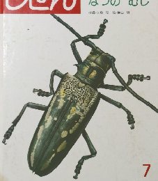 しぜん　7　なつのむし