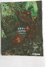 オオサンショウウオ