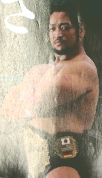 プロレス　2015年7/29号　No.1801